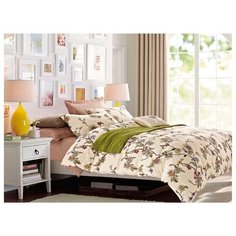 Постельное белье евростандарт Jardin 3220-160/204 сатин