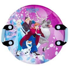 Ледянка 1 TOY Холодное сердце (Т13996) фиолетовый