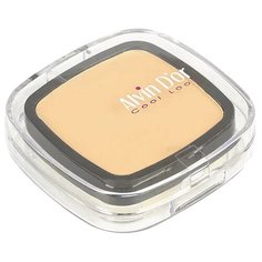 Alvin Dor пудра компактная Матовое совершенство PW1-1 05