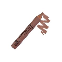 Parisa помада-карандаш для губ Dream Color L-12, оттенок №04