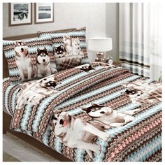 Постельное белье 1.5-спальное Letto B305 70х70 см, бязь коричневый/голубой