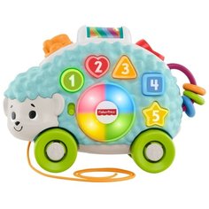 Интерактивная развивающая игрушка Fisher-Price Ежик (GJB14) голубой