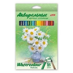 Hatber акварельные цветные карандаши Букет, 18 цветов (BKa_18370)