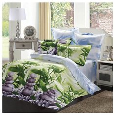 Постельное белье семейное СайлиД B-148, сатин голубой / зеленый