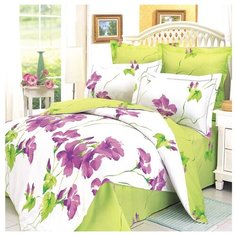 Постельное белье евростандарт СайлиД B-3, сатин белый/зеленый/фиолетовый
