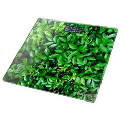 Весы Marta MT-1676 Молодая трава