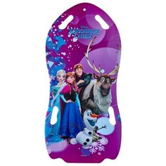 Ледянка 1 TOY Холодное сердце (Т13883) фиолетовый