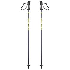 Палки для горных лыж Fischer RC4 SL Jr 2018-2019 80 black