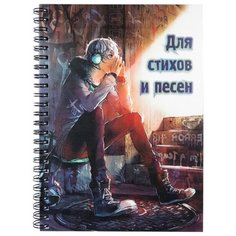 Блокнот Фолиант для стихов и песен А5, 80 листов (БЛСТ-5) Foliant