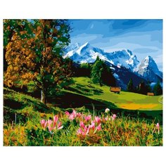 ВанГогВоМне Картина по номерам "Красная поляна", 40х50 (ZX 21208)