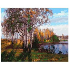 ВанГогВоМне Картина по номерам "Березовая роща", 40х50 см (ZX 21008)
