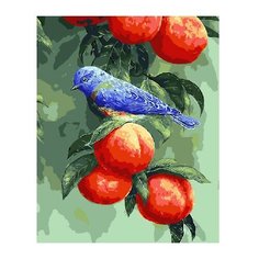 ВанГогВоМне Картина по номерам "Птичка на персиках", 40х50 см (ZX 22085)