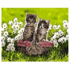 ВанГогВоМне Картина по номерам "Спокойные котята", 40х50 см (ZX 21994)