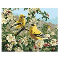 ВанГогВоМне Картина по номерам "На ветке", 40х50 см (ZX 20053)