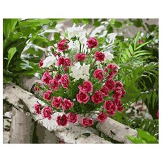 ВанГогВоМне Картина по номерам "Цветочки на березовом заборе", 40х50 см (ZX 21957)