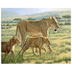 ВанГогВоМне Картина по номерам "Львицы на охоте", 40х50 см (ZX 21558)