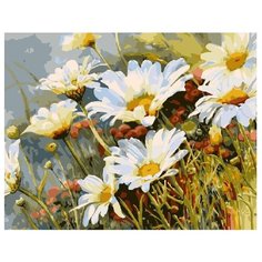 ВанГогВоМне Картина по номерам "Полевые ромашки", 40х50 см (ZX 20024)
