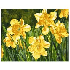 ВанГогВоМне Картина по номерам "Желтые нарциссы", 40х50 см (ZX 22231)