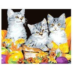 ВанГогВоМне Картина по номерам "Котики", 40х50 см (ZX 21487)