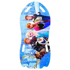 Ледянка 1 TOY Холодное сердце (Т57258) синий