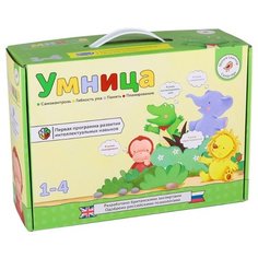 Обучающий набор Умница Умница. Программа развития интеллектуальных навыков