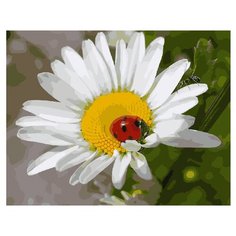 ВанГогВоМне Картина по номерам "Божья коровка", 40х50 см (ZX 20109)