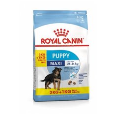 Сухой корм для собак Royal Canin для здоровья костей и суставов 4 кг (для крупных пород)