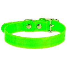Ошейник КАСКАД Biotan (00215301) 21-30 см зеленый