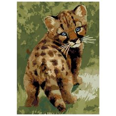 Color Kit Картина по номерам "Детеныш леопарда" 30х40 см (CE008)