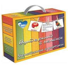 Набор карточек Вундеркинд с пелёнок Чемоданчик с фактами. Вундеркинд с пеленок 10x8 см 480 шт.