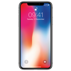 Смартфон Apple iPhone X 256GB серый космос (MQAF2RU/A)