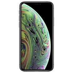 Смартфон Apple iPhone Xs Max 256GB серый космос (MT532RU/A)