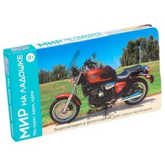 Набор карточек Умница Мир на ладошке. Мы едем, едем, едем 18x10 см 24 шт.