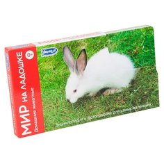 Набор карточек Умница Мир на ладошке. Домашние животные 18x10 см 24 шт.