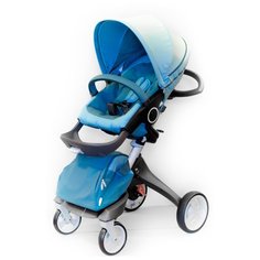 Универсальная коляска everflo Dsland 180202 (2 в 1) blue