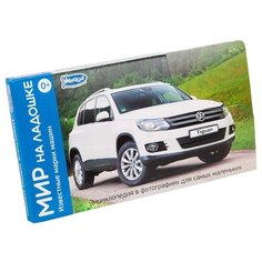 Набор карточек Умница Мир на ладошке. Известные марки машин 18x10 см 24 шт.