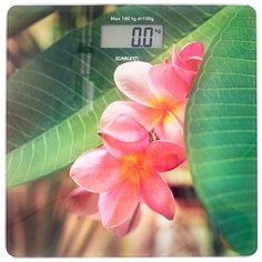 Весы Scarlett SC-BS33E040