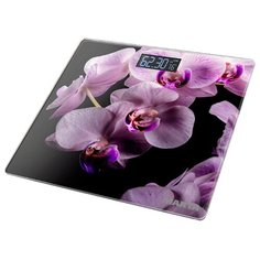 Весы Marta MT-1676 Орхидея