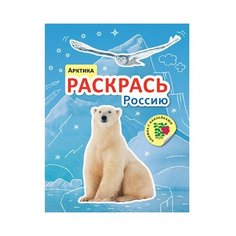 Мозаика-Синтез Раскрась Россию. Арктика