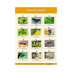 Плакат Мозаика-Синтез Насекомые