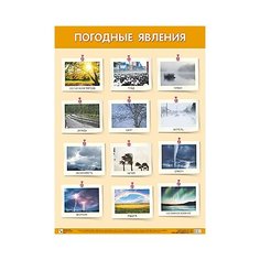 Плакат Мозаика-Синтез Погодные явления