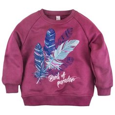 Свитшот Bossa Nova размер 74, брусничный