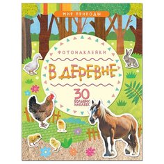 Книжка с наклейками "Мир природы. Фотонаклейки. В деревне" Мозаика Синтез