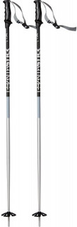 Палки горнолыжные Volkl Phantastick 2