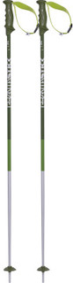 Палки горнолыжные Volkl Phantastick 2