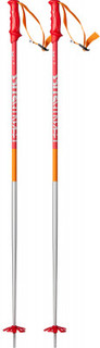 Палки горнолыжные Volkl Phantastick 2