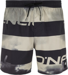 Шорты пляжные мужские ONeill Hm Sunstroke, размер 46-48 O`Neill