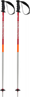 Палки горнолыжные детские Volkl Phantastick
