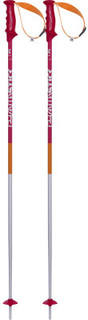 Палки горнолыжные Volkl Phantastick 2