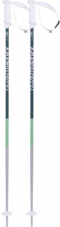 Палки горнолыжные женские Volkl Phantastick WMS Teal